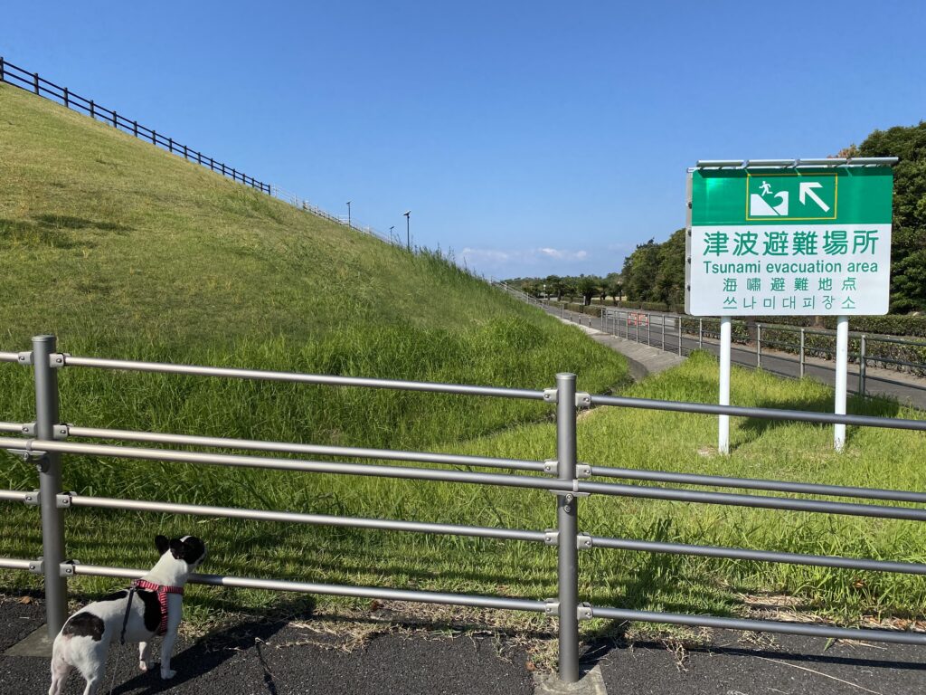 宮崎市で犬と一緒に散歩するおすすめスポット 宮崎市新別府町（宮崎市東エリア） 避難高台 命の丘2