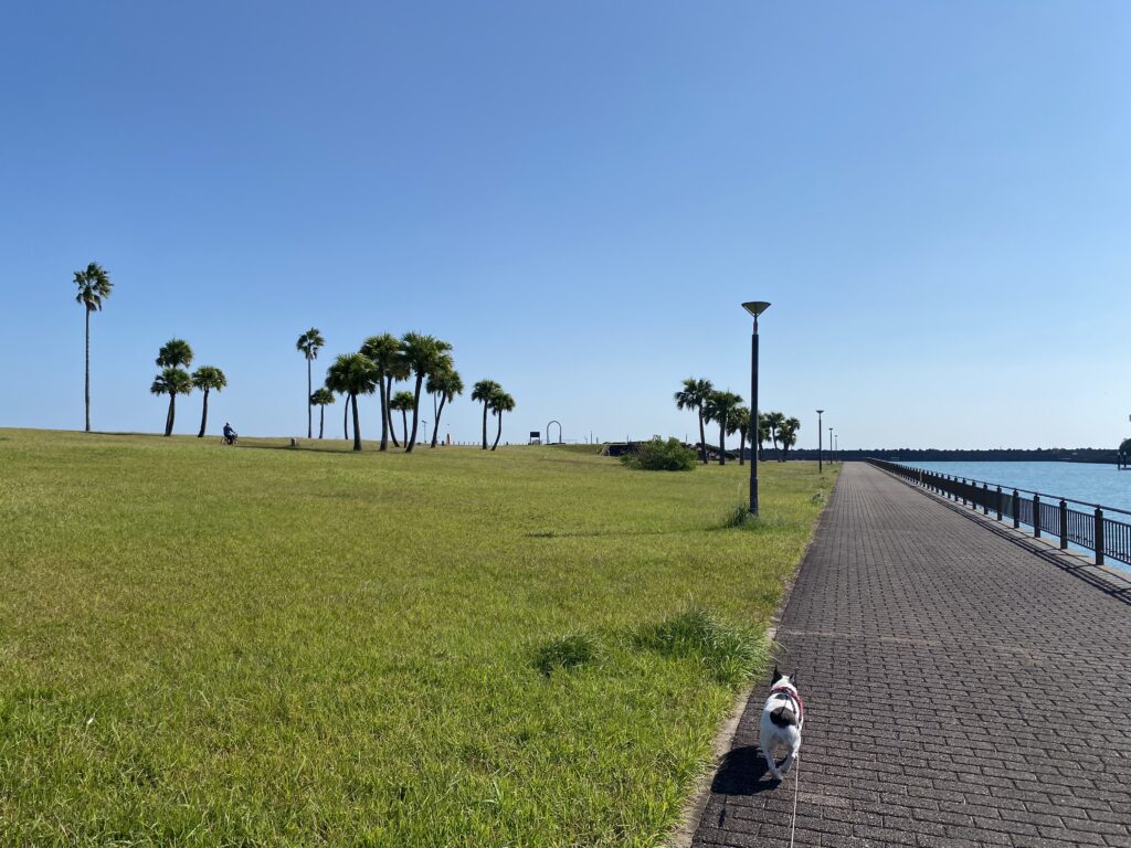 宮崎市で犬と一緒に散歩するおすすめスポット 宮崎市新別府町（宮崎市東エリア） みやざき臨海公園 サンマリーナ27