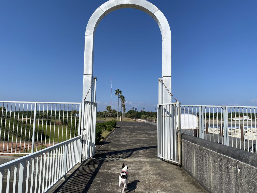 宮崎市で犬と一緒に散歩するおすすめスポット 宮崎市新別府町（宮崎市東エリア） みやざき臨海公園 サンマリーナ32