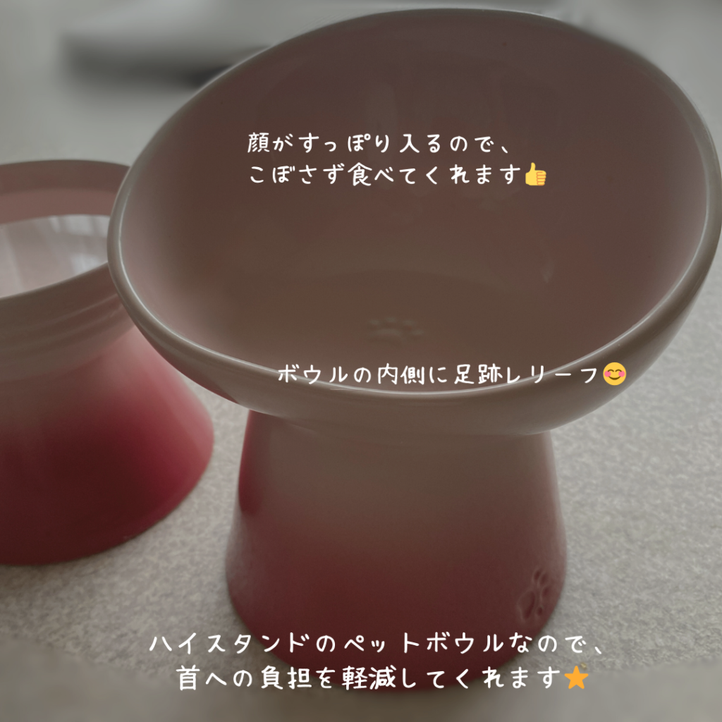 ちゃーまんブログ おすすめ ペット用品 犬用フードボウル LE・CREUSET（ル・クルーゼ）5